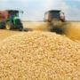 БРИКС создает глобальную трансформацию мировой торговли зерна